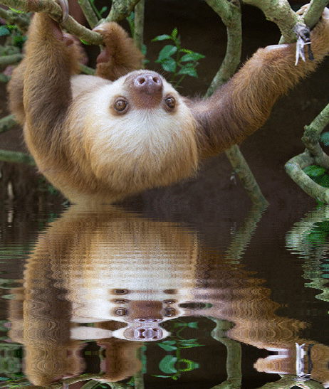 imageedit_1_4333483967