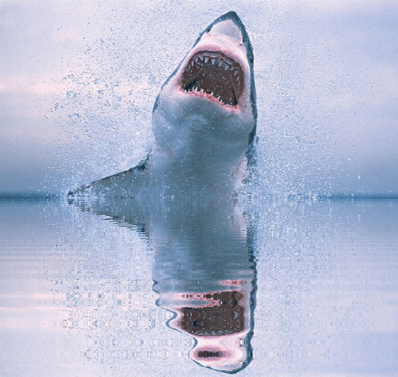 imageedit_1_6509165577