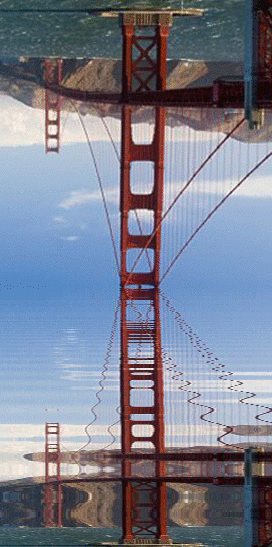 imageedit_1_9045947968