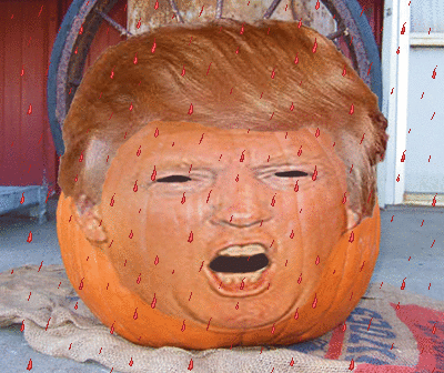 imageedit_4_8168228853