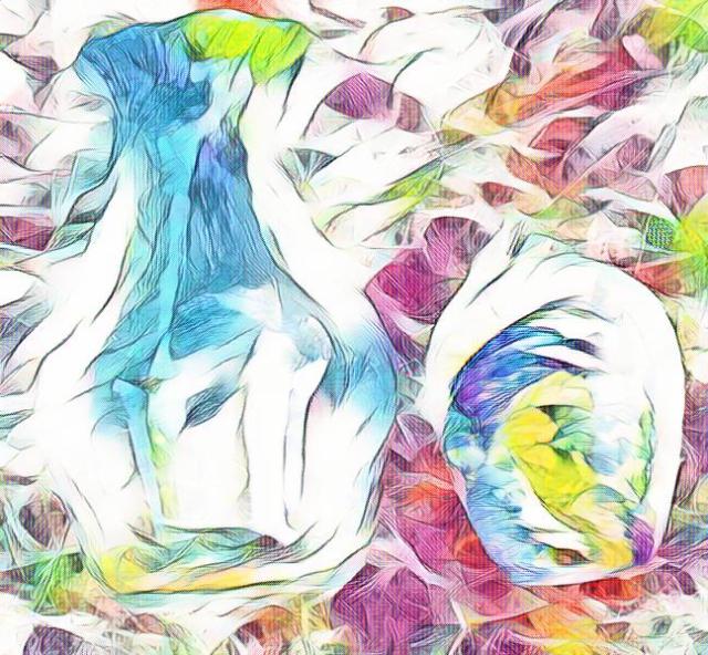 imageedit_1_4002588495