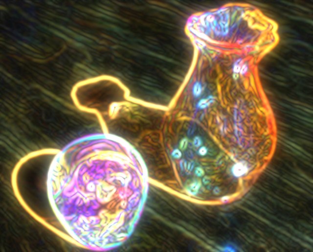 imageedit_2_5864894803