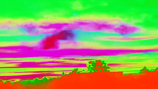 imageedit_3_9492168005