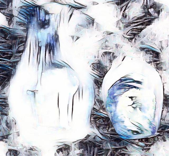 imageedit_4_4985638059