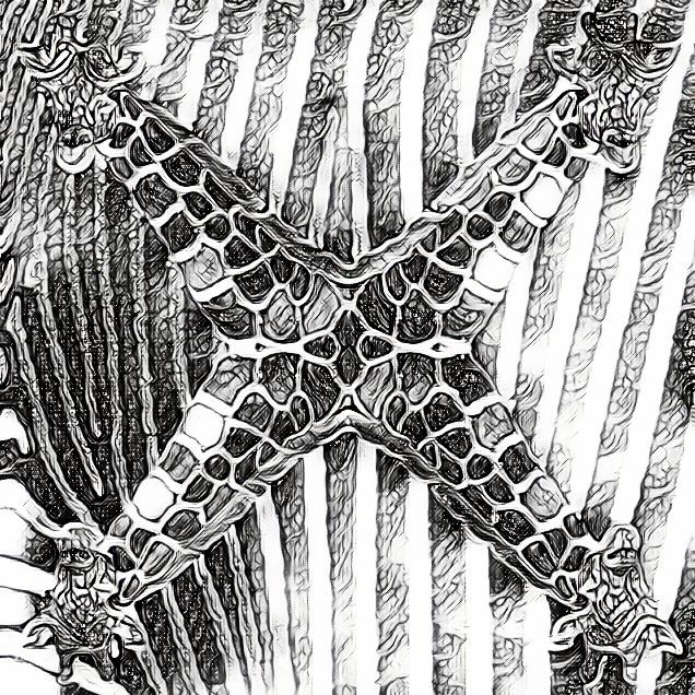 imageedit_5_2756867863