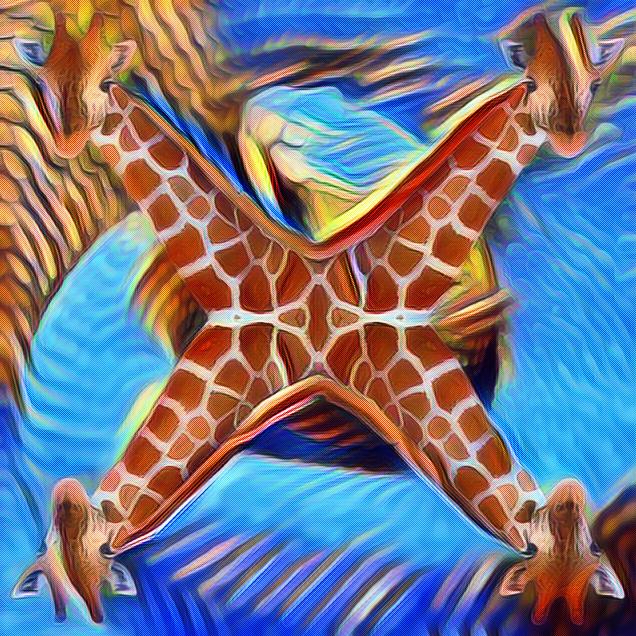 imageedit_8_9634670730