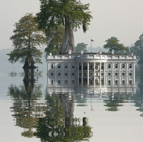 imageedit_1_5386969897