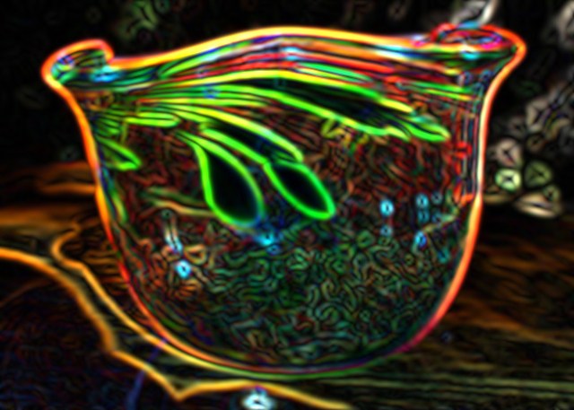 imageedit_1_6492894303