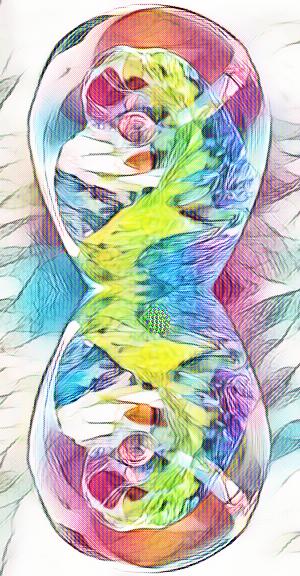 imageedit_4_4633189212