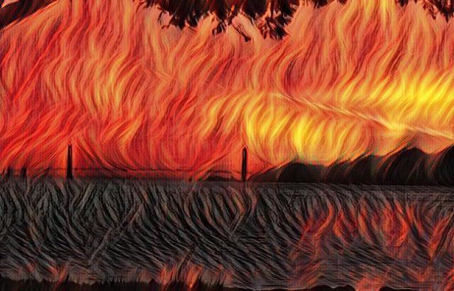 imageedit_9_2649097882