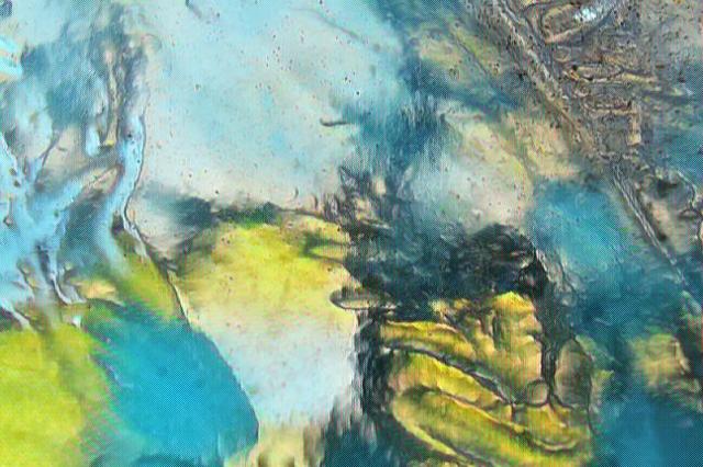 imageedit_11_9237846121