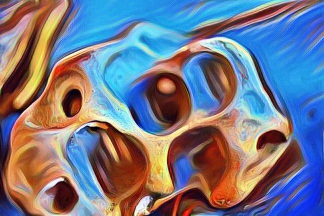 imageedit_13_5446759086