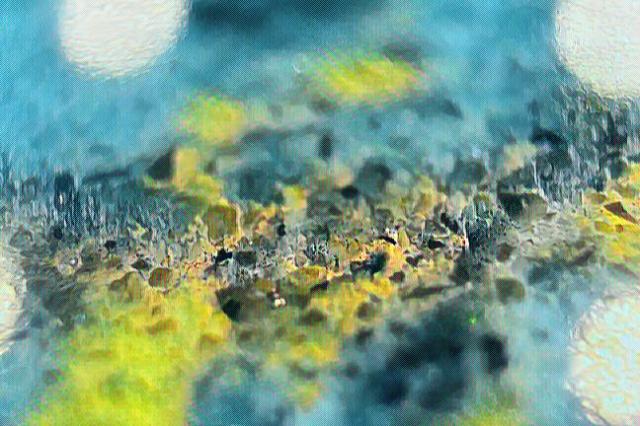 imageedit_13_8569139823