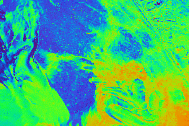 imageedit_1_4043156839