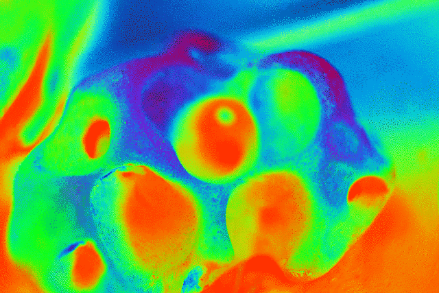 imageedit_1_7202563233