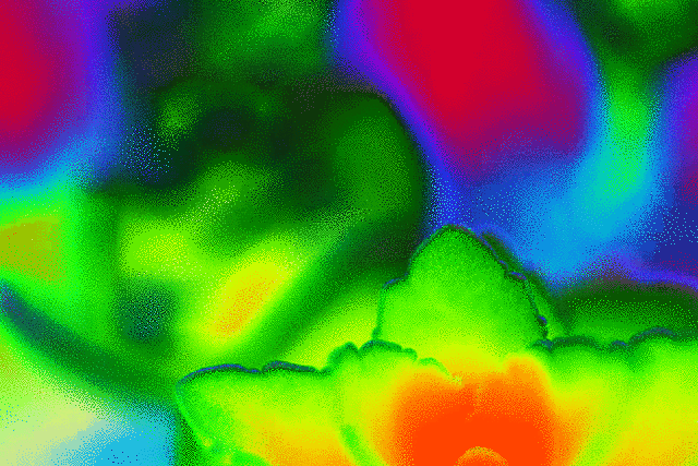 imageedit_1_7557903140