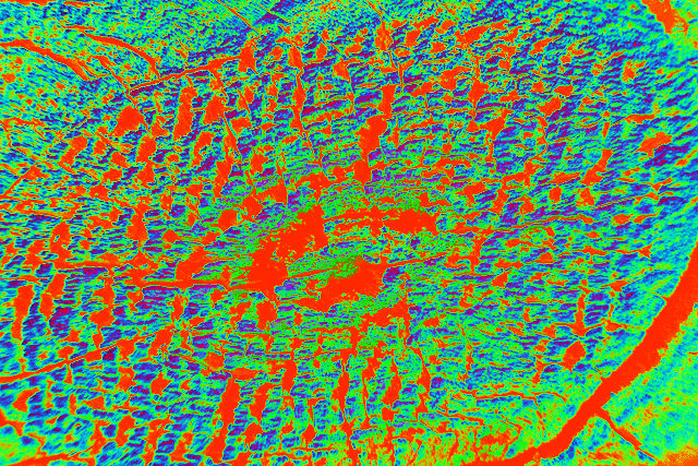 imageedit_1_9662122033