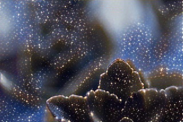 imageedit_2_4393374945