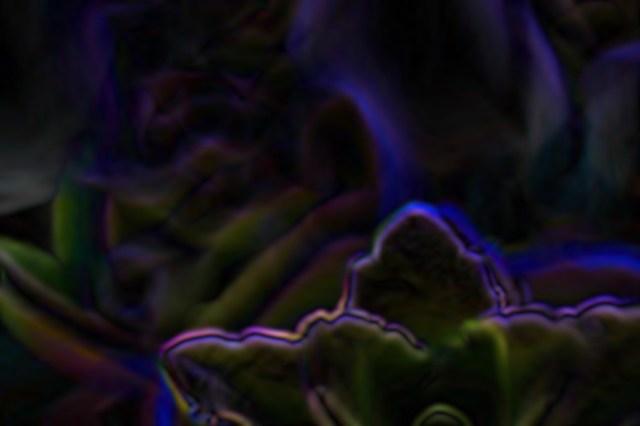 imageedit_3_5866315025