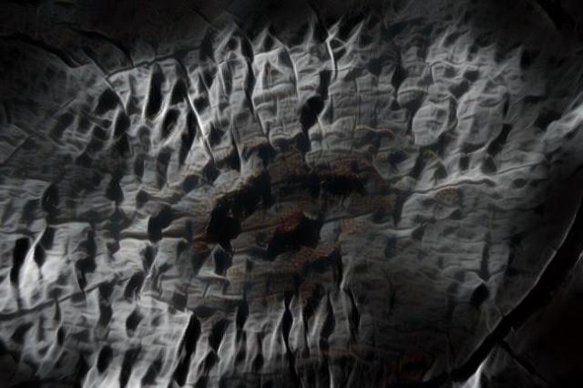 imageedit_5_9693067766