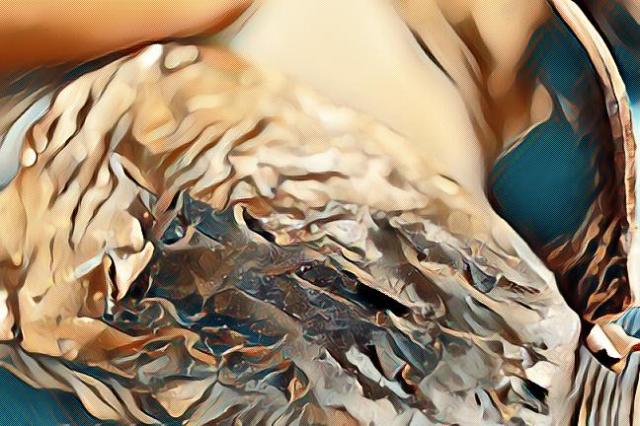 imageedit_6_6762674625