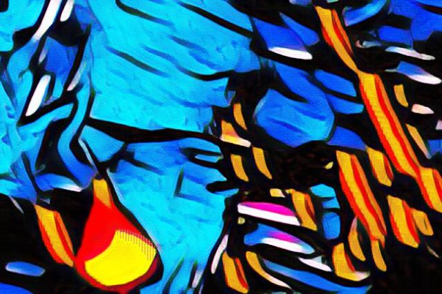 imageedit_9_8418699674