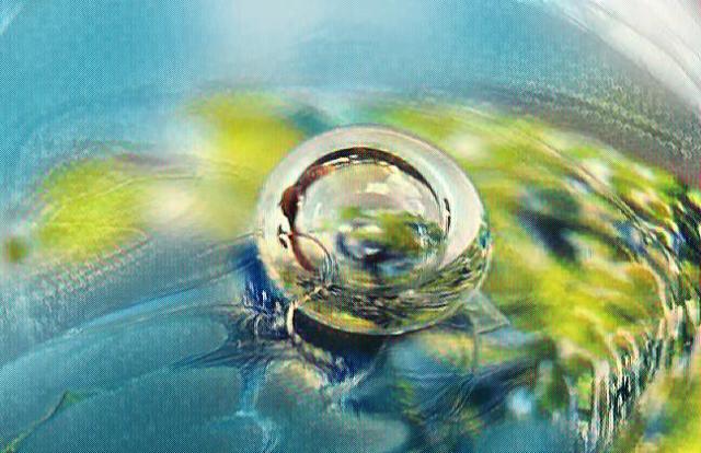 imageedit_13_4087054520