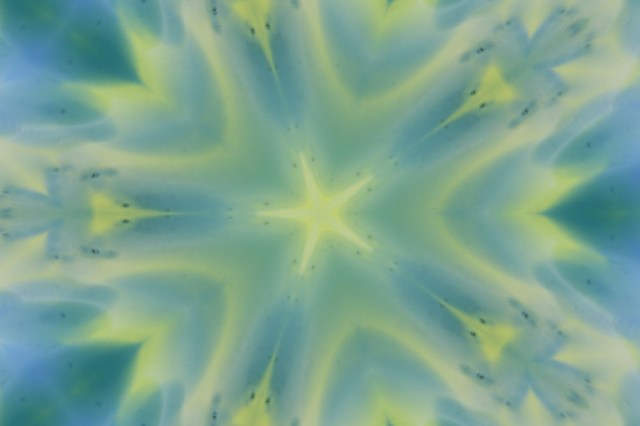 imageedit_1_4131472494