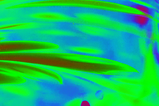 imageedit_1_8901543688