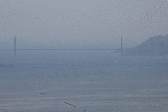 imageedit_2_8437514070