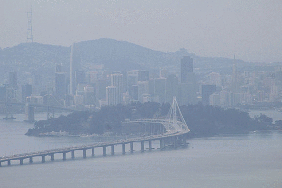 imageedit_3_5576749235