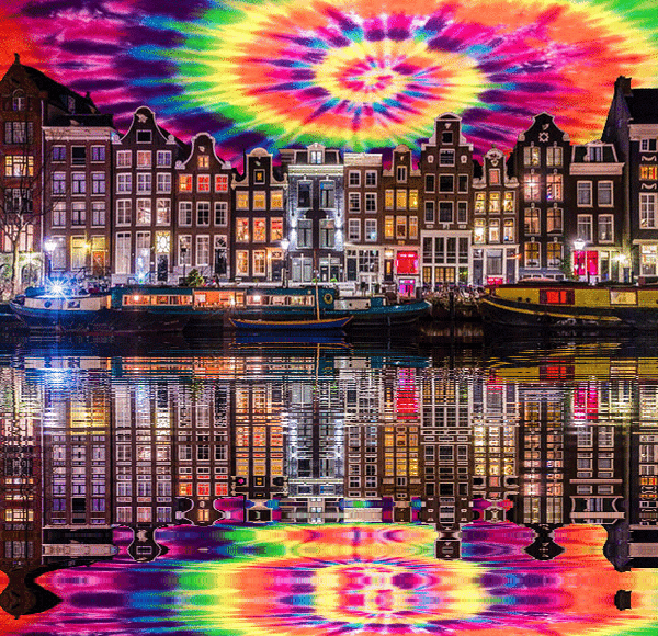 imageedit_1_8221352156