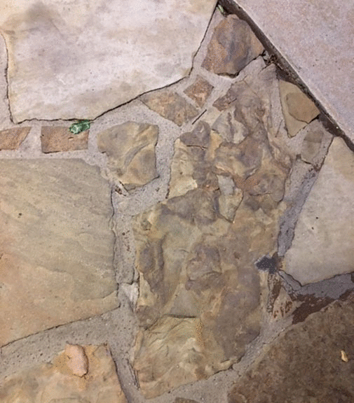 imageedit_5_9607802115