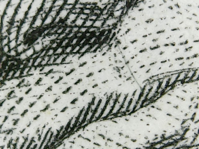 WIN_20190730_13_55_52_Pro