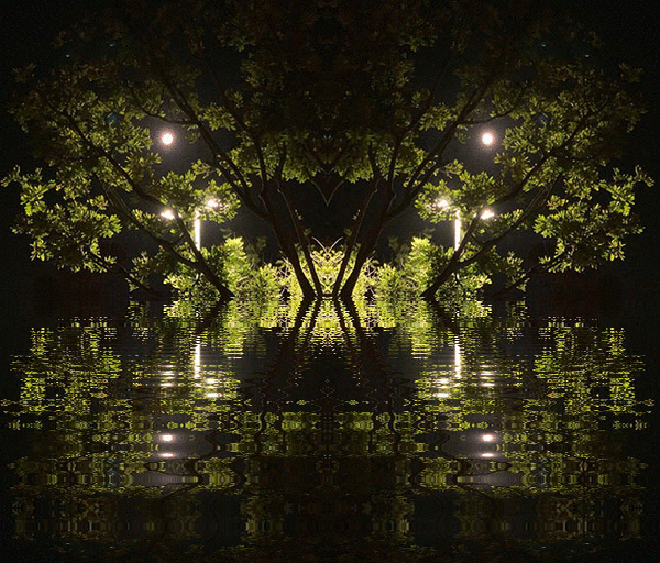 imageedit_1_9568970966