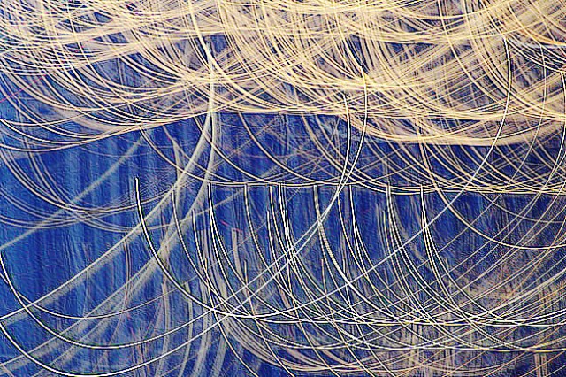 imageedit_8_7263709295