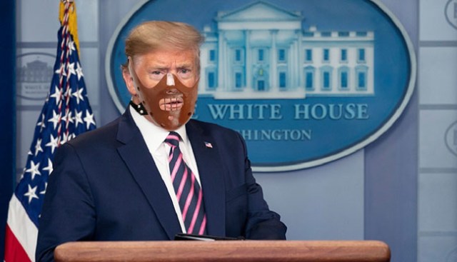 Trump Daily Coronavirus Taskforce Briefing, Washington, District of Columbia, USA - 24 Apr 2020